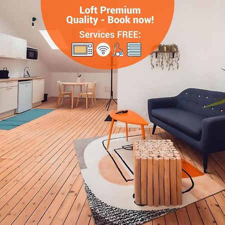 Loft Lumineux Tres Spacieux - Parking Gratuit Châteauroux Exteriér fotografie